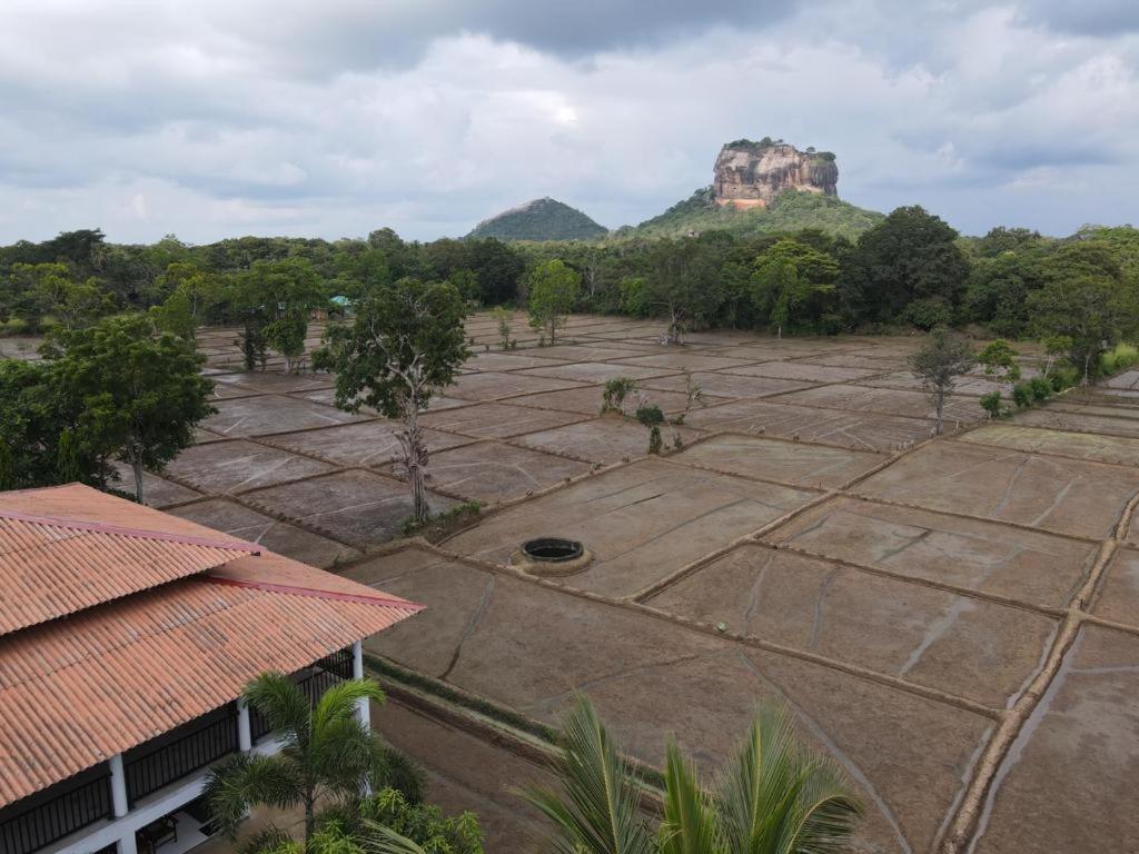 Castle View Sigiriya Hotel Ngoại thất bức ảnh